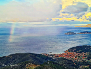 La Foto del Giorno (4 apr.)