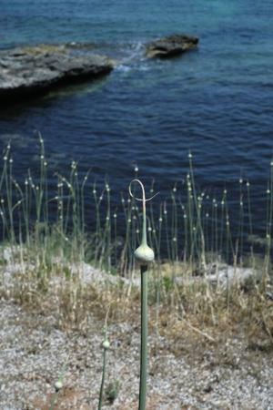 La Foto del Giorno (3 lug.)