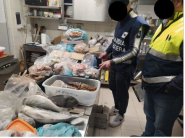 Controlli sulla filiera ittica: Regione Toscana e Direzione Marittima insieme per la sicurezza del consumatore
