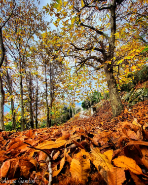 La Foto del Giorno (28 nov.)