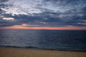 La Foto del Giorno (1° mag.)