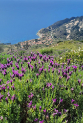 La Foto del Giorno (31 lug.)