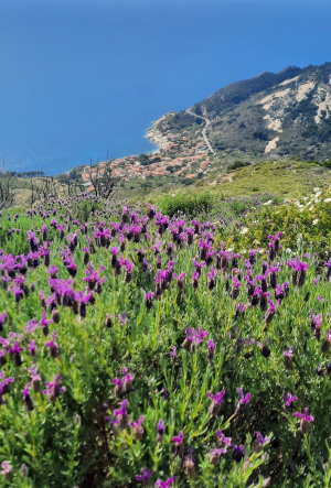 La Foto del Giorno (31 lug.)