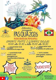 Il calendario degli incontri al Museo del Mare di Capoliveri