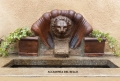 Concerto di Susanna di Scala all'Accademia del Bello 