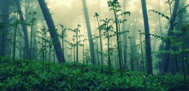 La Foto del Giorno (7 mag.)