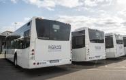 Il 29 maggio sciopero nazionale di 24 ore. Fasce garantite per i servizi bus