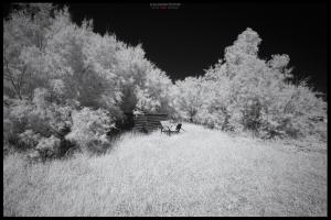 La Foto del Giorno (23 sett.)