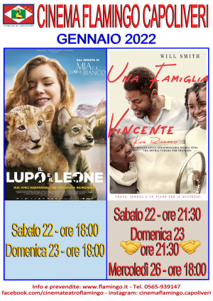 I film in programma al Cinema Teatro Flamingo