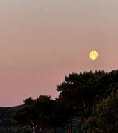 La Foto del Giorno (7 apr.)