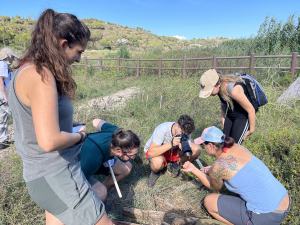 A scuola di Entomologia