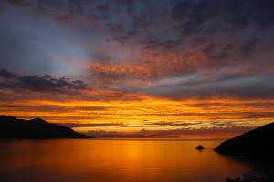 La Foto del Giorno (26 sett.)