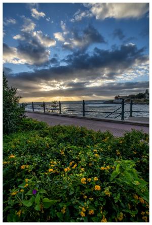 La Foto del Giorno (14 apr.)