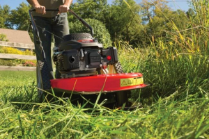 Manutenzione della vegetazione incolta, l&#039;ordinanza del Sindaco marinese
