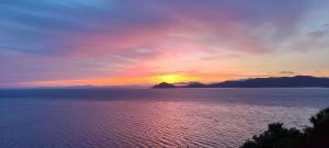 La Foto del Giorno (15 ago.)