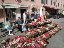 L'11 maggio torna a Portoferraio l'Azalea della Ricerca