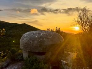 La Foto del Giorno (30 nov.)