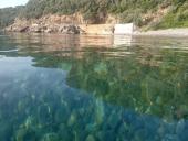 Però... che mare stamani a Ortano!