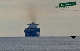 Cambiamenti climatici e sicurezza in mare, oggi il primo laboratorio Interreg