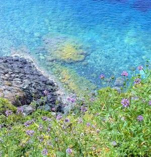 La Foto del Giorno (27 apr.)