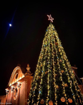 Natale, la scelta consapevole dell’amministrazione comunale di Marciana Marina