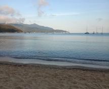 Una spiaggia all’alba, tra meraviglia e degrado: il racconto di una Tartawatcher
