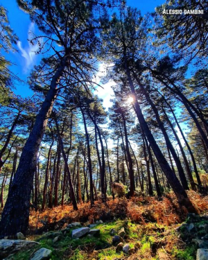 La Foto del Giorno (14 mar.)