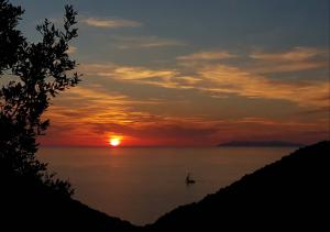 La Foto del Giorno (2 lug.)