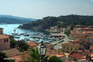 La solidarietà del Circolo PD di Porto Azzurro ai cittadini ucraini