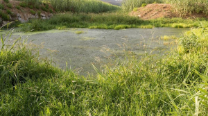 Rischio idrogeologico e temporali, codice giallo per mercoledì 31 maggio