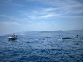 Imbarcazione si capovolge alle Isole Gemini: due diportisti salvati dalla Guardia Costiera