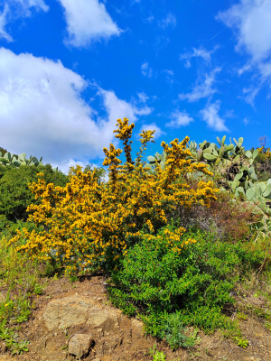 La Foto del Giorno (13 mar.)