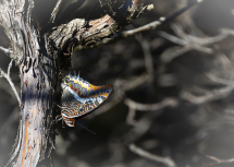 La Foto del Giorno (30 sett.)