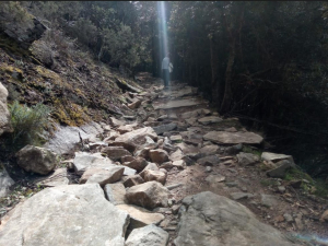 Rimercojo: dopo 14 mesi l’antica strada nel Parco non è stata ripristinata