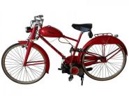 Elogio della Follia?