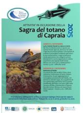 Alla scoperta di Capraia con il Parco: escursioni e natura durante la Sagra del Totano