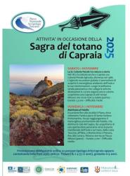 Alla scoperta di Capraia con il Parco: escursioni e natura durante la Sagra del Totano
