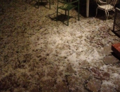 Coldiretti Livorno: grandine sui vigneti eroici dell'isola d'Elba