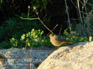 La Foto del Giorno (1° dic.)