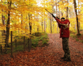 Caccia: Ecologisti arrabbiati per le politiche del governo: “Una Guerra alla biodiversità, calpestata la Costituzione”