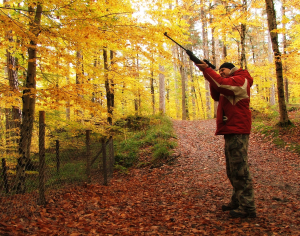 Caccia: Ecologisti arrabbiati per le politiche del governo: “Una Guerra alla biodiversità, calpestata la Costituzione”