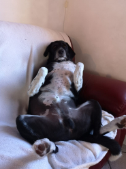 La Foto della Settimana ispirata dal peccato capitale “L’accidia” è di Annalisa Ballarini