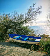 La Foto del Giorno (8 apr.)