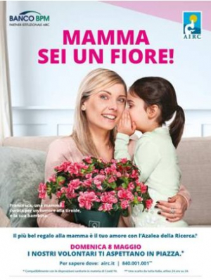 Azalea della ricerca a Marciana Marina