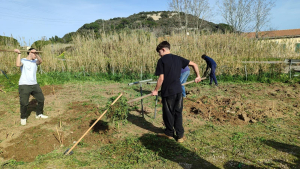 Alla riscoperta della cultura contadina elbana: gli studenti del Cerboni impiantano una vigna agli orti sociali