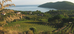 C'era una volta l'Isoletta Verde&amp;Blu - Prologo di Andrea Galassi