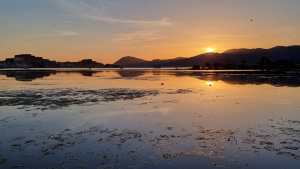 La Foto del Giorno (13 mag.)