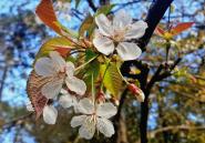 La Foto del Giorno (20 apr.)