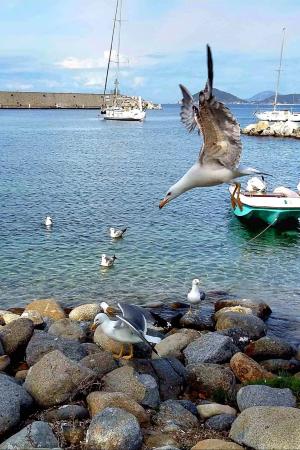 La Foto del Giorno (29 mag.)