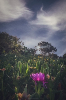 La Foto del Giorno (14 apr.)